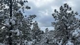 Looking to play in the snow in Flagstaff? Check out these spots for sledding and tubing