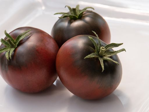 The Scientific Reason Cherokee Purple Tomatoes Look So Funky