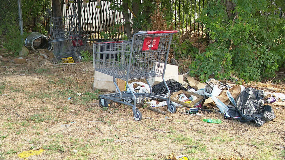 City spends over $1 million on cleanup as shopping carts clutter San Antonio