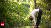 Reasons for Yoga: Obesity, Sleeplessness, and Stress | Ahmedabad News - Times of India