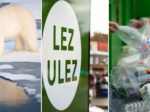 Election 2024 manifestos: Parties’ pledges on the environment