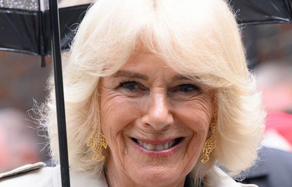 Hold on—Why Did Queen Camilla Just Wear This Out-There Animal Print Three Times in Two Weeks?!