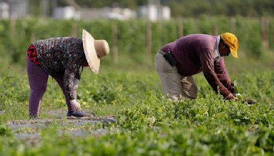 Need to go to the hospital? Texas and Florida want to know your immigration status.