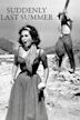 Suddenly, Last Summer (film)