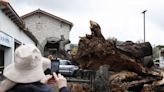 Casa Blanca declara desastre por tormentas en tres condados más de California