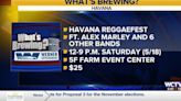 What’s Brewing - The 14th annual Havana Reggafest