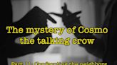 Confronting the neighbors over Cosmo the talking (and missing) crow: Part 11