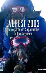 Everest 2003 - Les regards de Sagarmatha