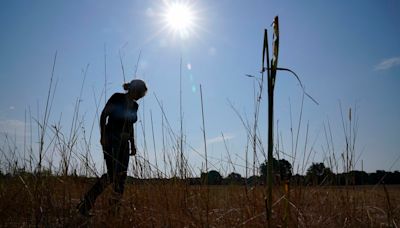 美國也熱爆！高溫預報38°C「恐現歷史性熱浪」 1.3億人受影響