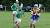 Buffers Alley storm to a facile win against depleted Gusserane in Intermediate hurling championship