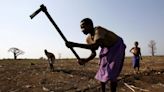 ONU pide ayuda inmediata para 4,8 millones de africanos afectados por la sequía de El Niño