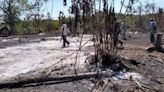 Fuego arrasa con fauna de la Reserva de la Biosfera Ría Lagartos; animales mueren calcinados | El Universal