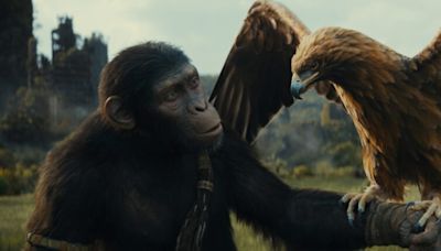《阿凡達：水之道》特效加持，《猩球崛起：王國誕生》宛如猿人版阿波卡獵逃