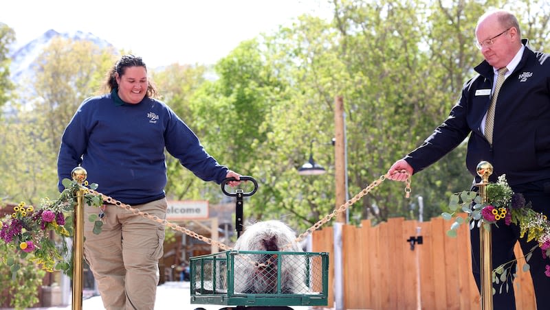 New Utah-focused exhibit comes to Hogle Zoo