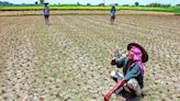 Rain deficit may spike food inflation further: Experts - ET Retail