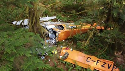 B.C. plane crash renews call for mandatory stall warning systems