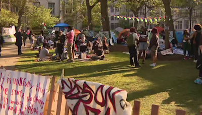 Pro-Palestinian tent encampments expand at University of Chicago, DePaul