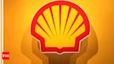 Norway's wealth fund asks Shell for more climate policy details - Times of India
