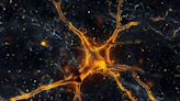 Astrocytes: The Unsung Heroes of Learning and Memory - Neuroscience News