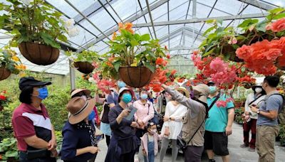 台大梅峰農場「在地蔬食」暑假登場 採有機蔬果吹天然冷氣