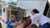 Stamp Out Hunger Food drive raises thousands of pounds of food for local food banks - Salisbury Post