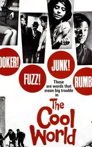 The Cool World