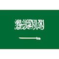 Saudi Arabia national football team