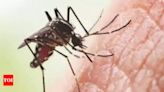 140% spike in dengue cases in state this June over past year in Goa | Goa News - Times of India