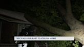 Tree falls on East Flatbush home, expected to stay there until the end of week