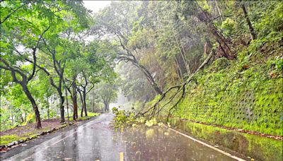 梅雨強襲 東埔土石流斷路搶通單線