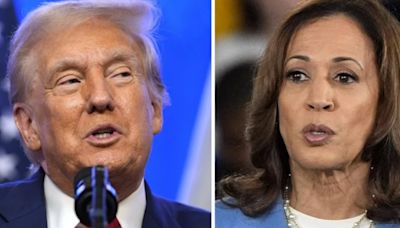 Harris vs. Trump: ¿Cuáles son las diferencias entre sus propuestas en materia de impuestos?