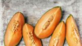 Why Are Cantaloupes Prone to Salmonella Contamination?