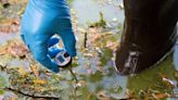 Most WA state lakes under-monitored for poisonous algae blooms, including Lake Padden