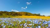 SLO County weather: Warm weather, moderate winds and dry cold front