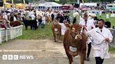 Royal Welsh: We'll work with anyone for rural life, say farmers