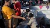 Inside a makeshift shelter saving hundreds of dogs from floods in southern Brazil