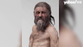 「冰人奧茲」可能是禿頭 深色皮膚、眼睛 最新基因分析揭5300年前人類祕密