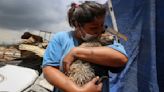 Encuentra a su gato "Mazapán" tras incendio en Nezahualcóyotl