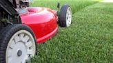 Study: Two Hampton Roads cities cited in worst city for grass allergies