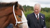 King Charles is selling 14 of Queen Elizabeth's horses, report says