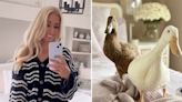 Stacey Solomon let ducks walk all over her bed and people are divided