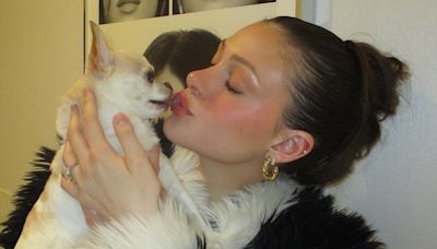Nicola Peltz threatens to sue dog groomer following sudden death of her pet chihuahua