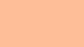 'Peach Fuzz' (melocotón suave), color del año 2024 por el Instituto Pantone