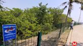 Protección contra cocodrilos en laguna del Carpintero por colapsar