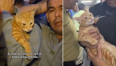 Minino fue hallado durante requisa en penal de Perú y en redes bromean: “Aquí hay gato encerrado”