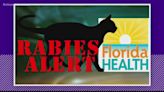 Rabid cat prompts Westside Jacksonville rabies alert