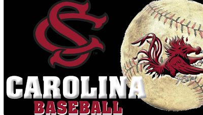 CAROLINA BASEBALL: Georgia fends off South Carolina in high-scoring game