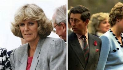 Queen Camilla's 'Instinct': Consort 'Took All the Nastiness From Princess Diana Separation' to Better Understand 'What King Charles Needs'