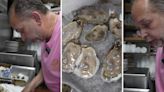 ‘I’ve never had oysters before … and now that I know I’ll never try them’: Clam bar cook shares the truth about oysters