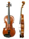 violino